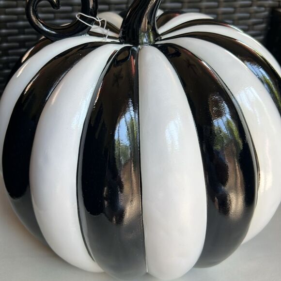 Elegant Glossy Black and White Stripe Pumpkin - Picture 5 of 10